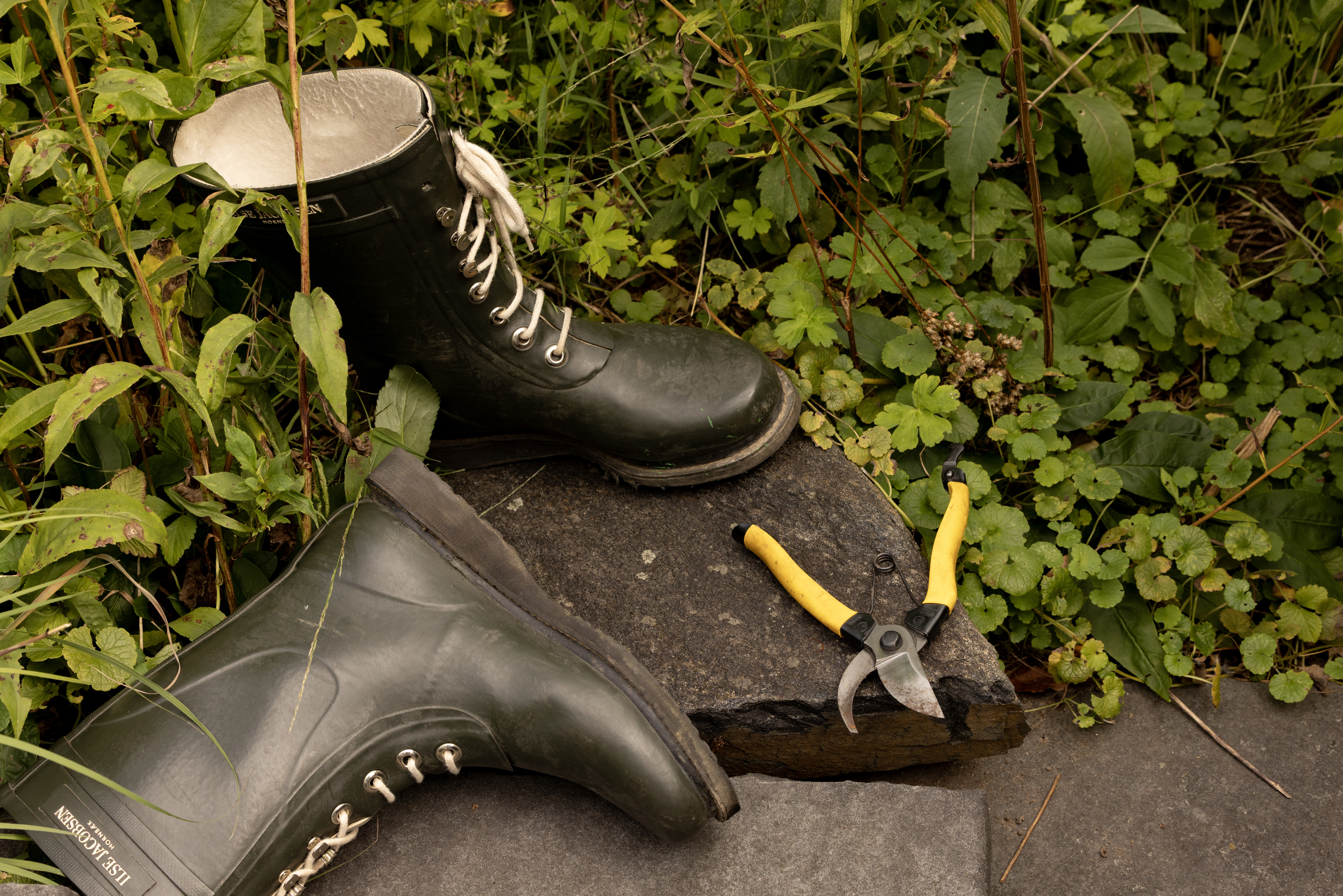Garden maintenance and seasonal care for residential planting